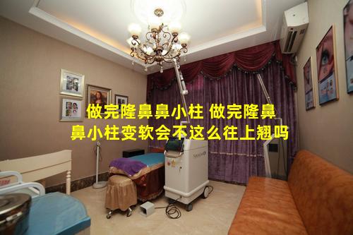 做完隆鼻鼻小柱 做完隆鼻鼻小柱变软会不这么往上翘吗